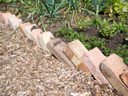 Brick Border Between Garden And Mulch