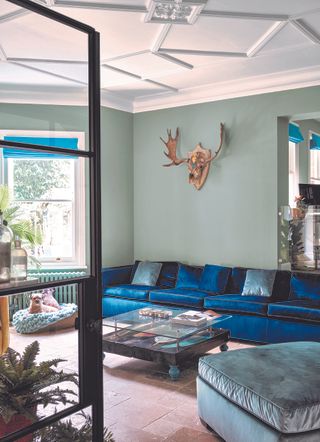 A royal blue sofa against a sage green wall