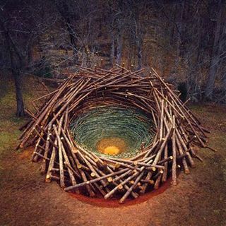 Environmental art consisting of a nest constructed using long pine trunks, with the interior made of green bamboo sticks that taper toward the bottom.