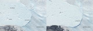 At some time between May 9, 2014, when the Landsat 8 satellite acquired this image (left), and June 1, 2014, when it acquired the right image, Greenland's Jakobshavn Isbrae glacier shed a significant amount of ice.