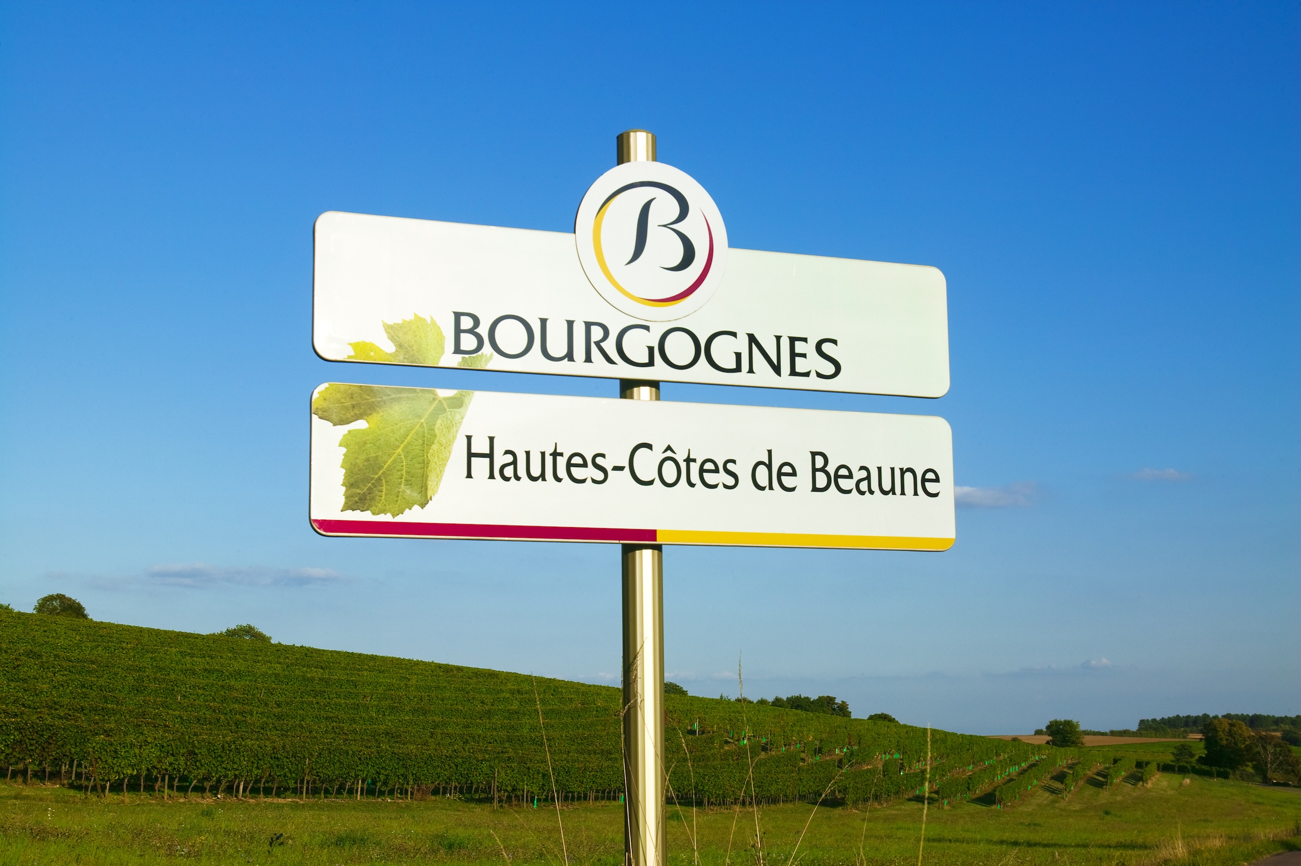 A sign in Burgundy