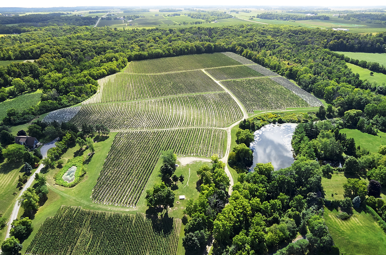 LCJ-Vineyards-Arial.jpg