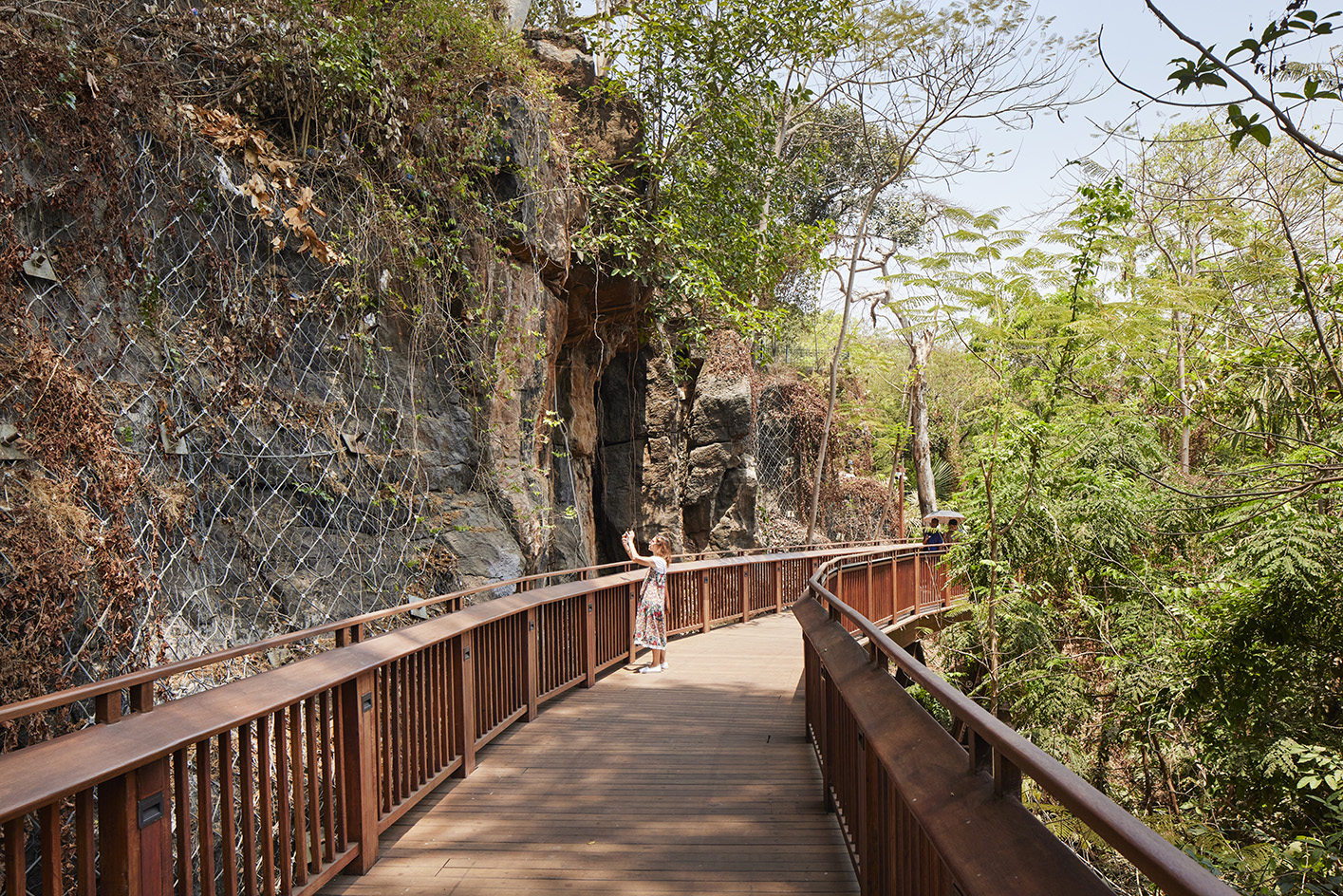 Malabar Hill's forest trail, an elevated timber walkway among trees
