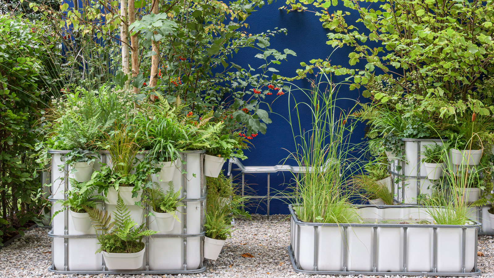Unusual raised bed designs with ferns and ornamental grasses in a gravel garden with blue wall behind