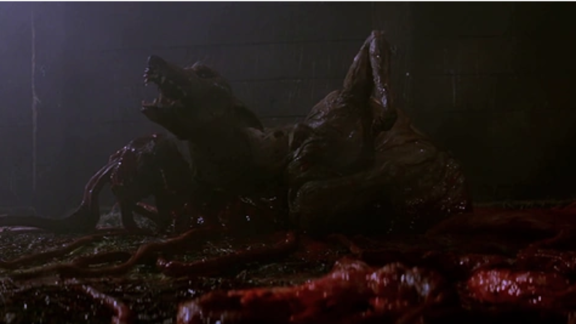 Dog-Thing/Kennel-Thing in John Carpenter&#039;s The Thing