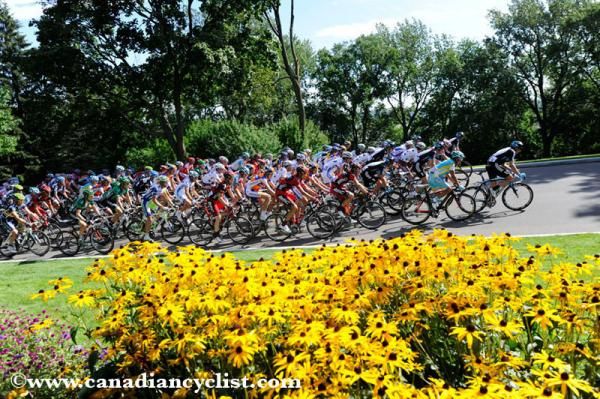 Peloton and the last of the summer flowers.