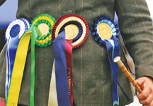 rosette1.jpg