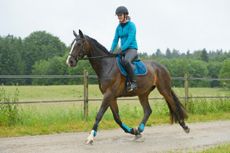 Rider trotting in the rain