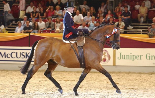 crash hat rule reverted by sport horse breeding