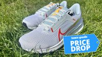 Nike Pegasus 40 running shoes on grass