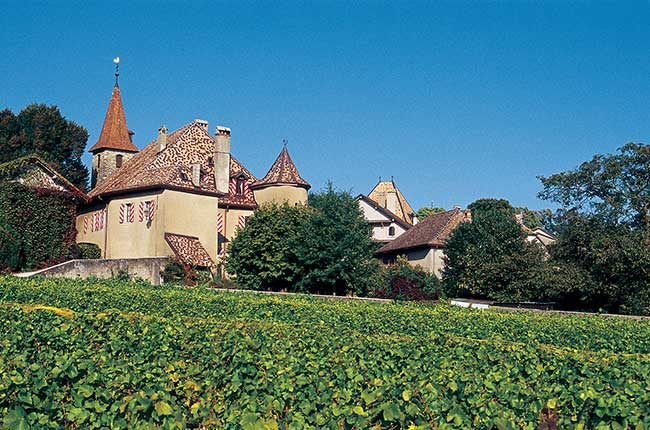 Domaine de Burignon