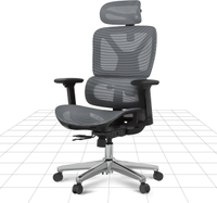 FlexiSpot ErgoX ergonomic office chair