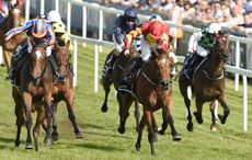 Qualify-Oaks-Winner.jpg