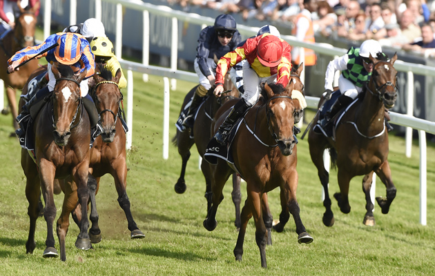 Qualify-Oaks-Winner.jpg