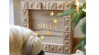 wooden advent calendar for dogs
