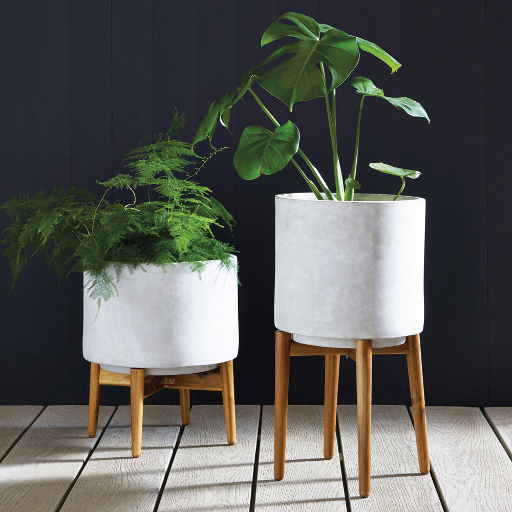 room with navy blue wall with wooden floor and planters