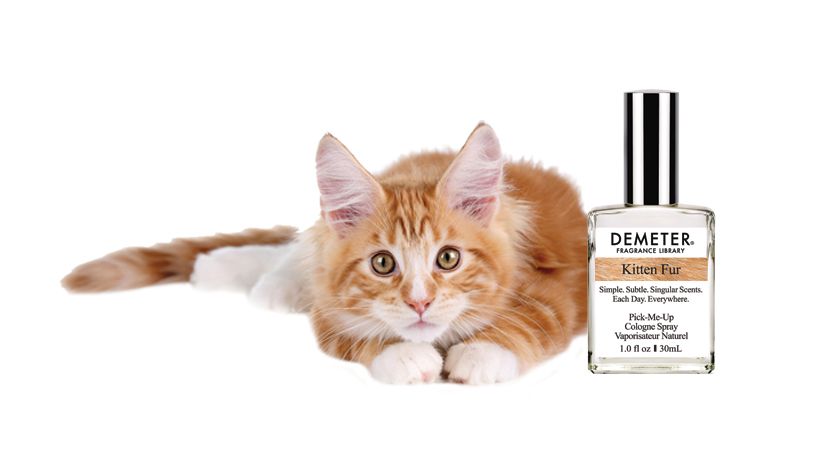 Scent of a Kitten: Perfumer Debuts 'Kitten Fur' Fragrance | Live Science