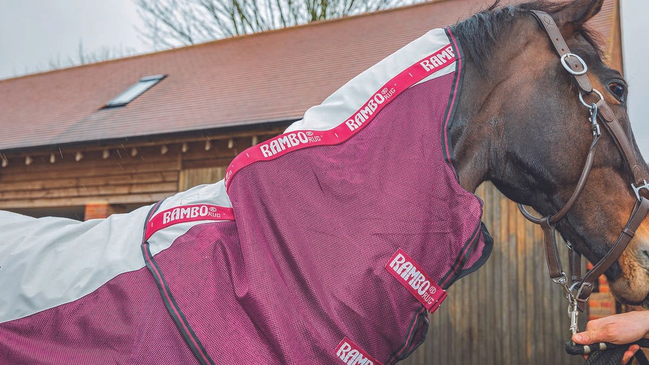 Horseware Rambo Summer Series&nbsp;review