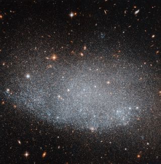 Dwarf Irregular Galaxy UGC 8201