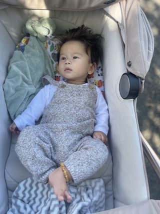 Baby lying down in the Inglesina Apitca XT Travel System