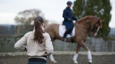 looking at a horse