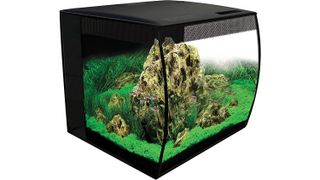 Fluval Flex Aquarium Kit fish tank