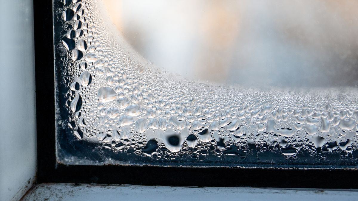 How do dehumidifiers work and could they help dry clothes? Homebuilding