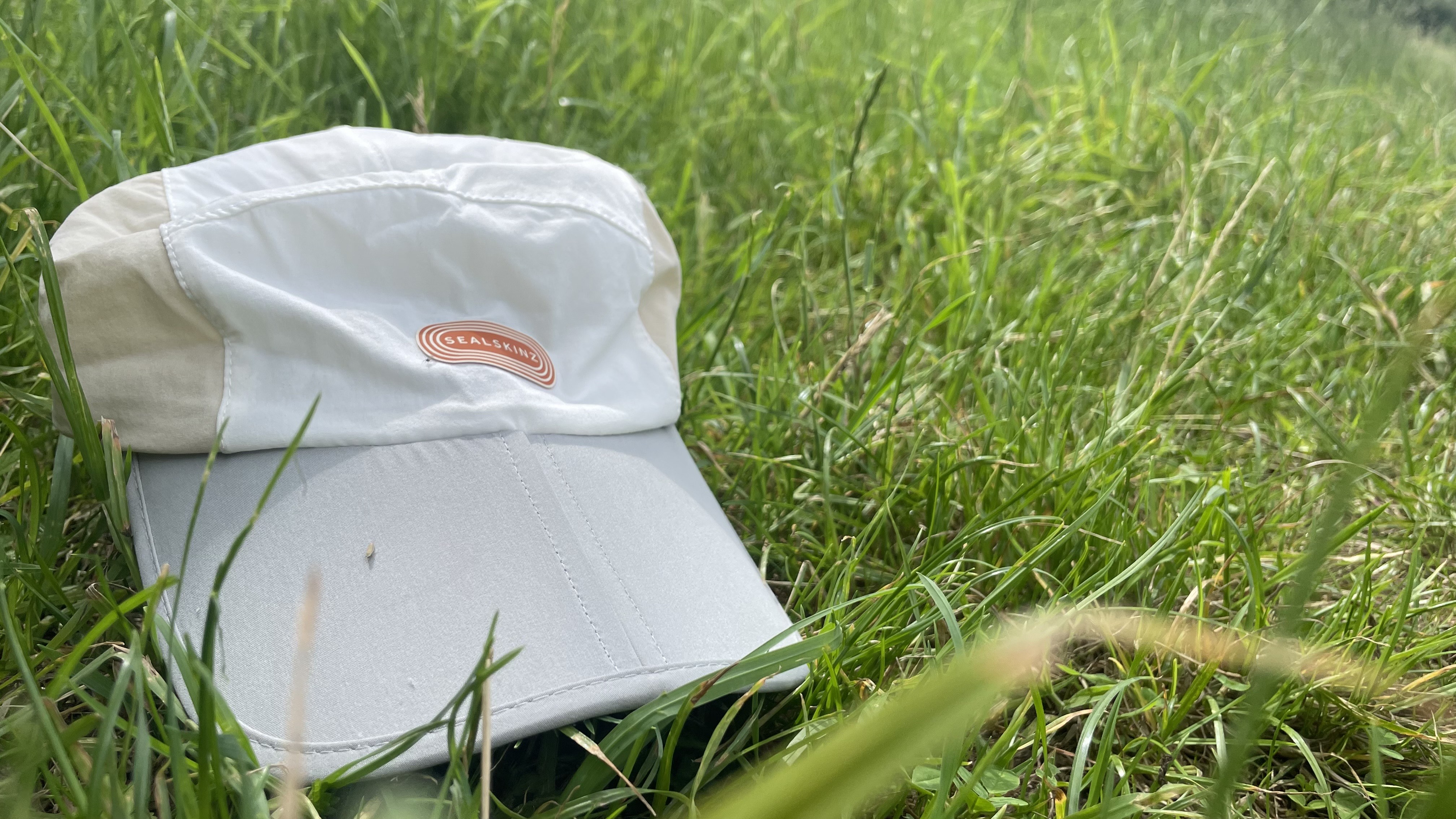 Sealskinz cap