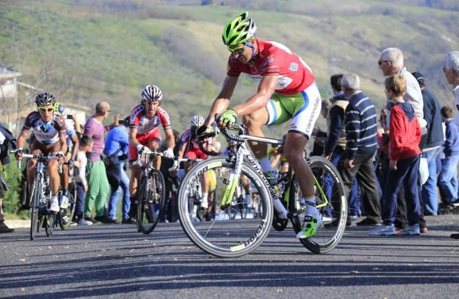 Peter Sagan (Cannondale)