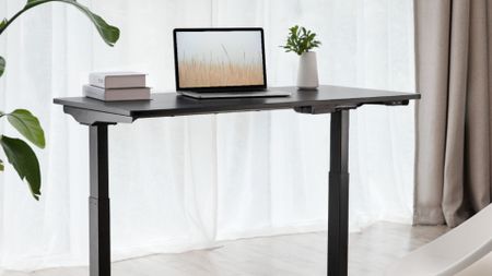 Best Buy standing desk deal