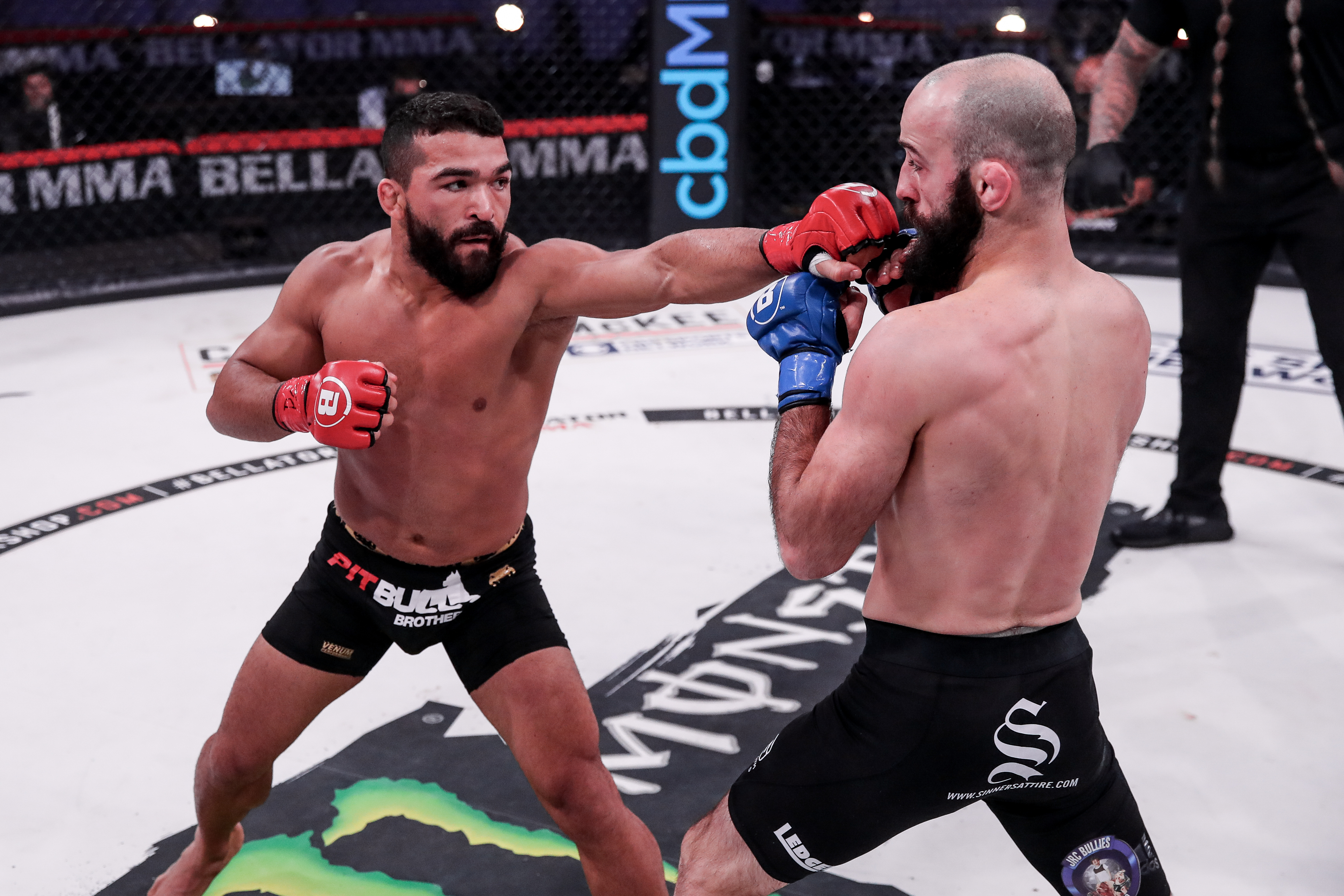 Showtime Taps Bellator MMA Events to Help Punch Up Subscribers Next TV