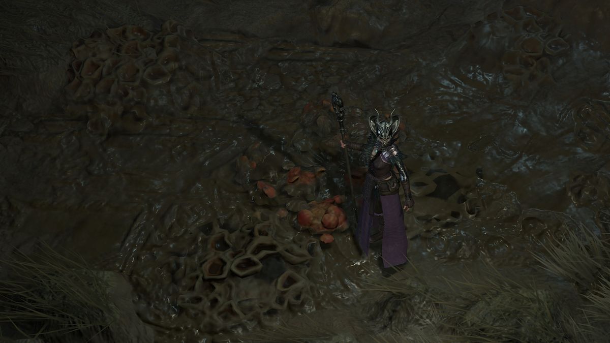 Diablo 4 Brought to Heel
