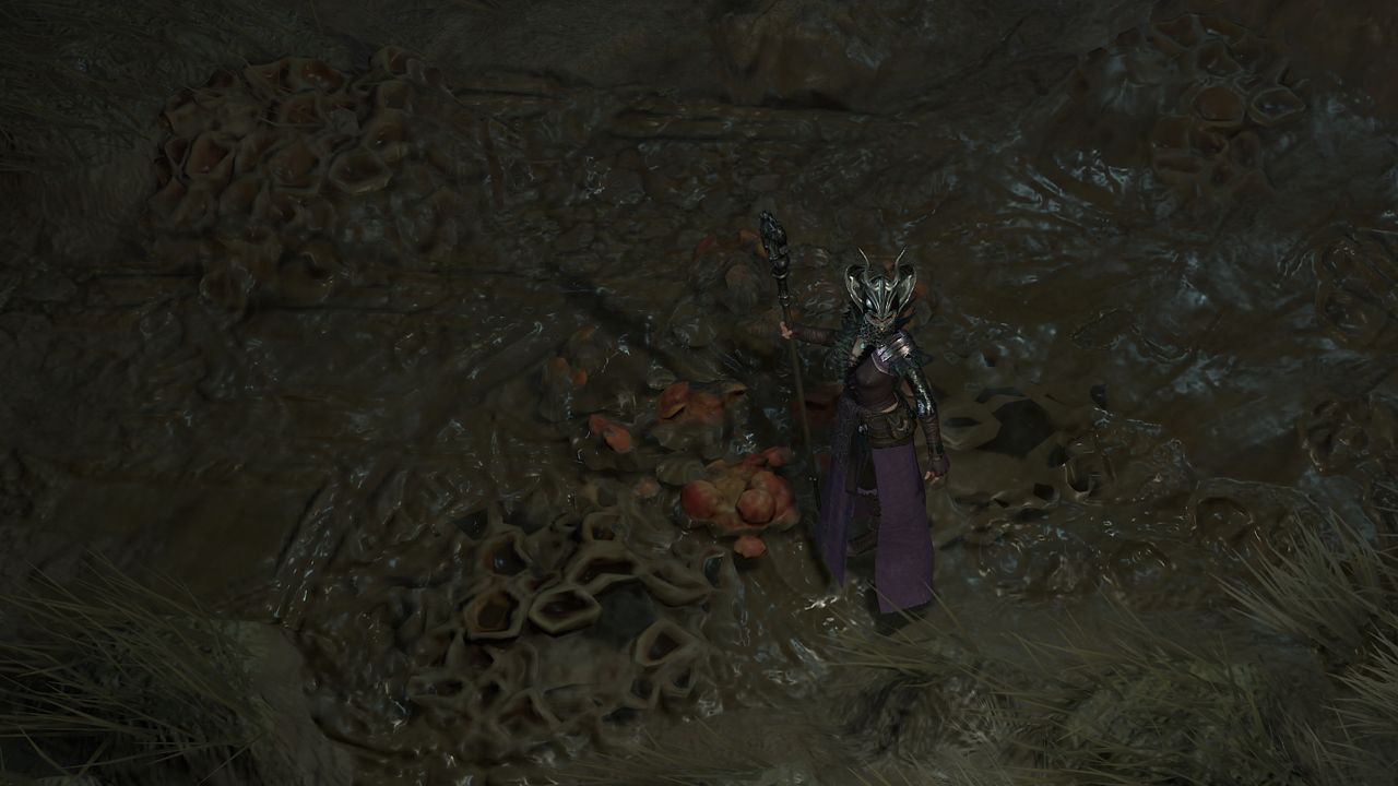 Diablo 4 Brought to Heel