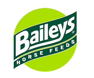 Baileys-logo-.png