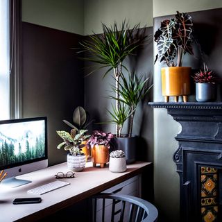 grey and white wall computer mobile plant on desk