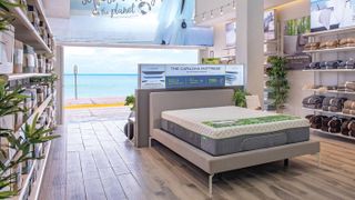 The interior of a Cariloha store with shelves of the brand's bedding and a display bed fitted with a Cariloha mattress.