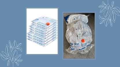 composite of vacuum seal bags from amazon and image of my own