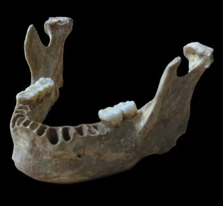 The jawbone of a human who lived between 42,000 and 37,000 years ago showed some Neanderthal features.