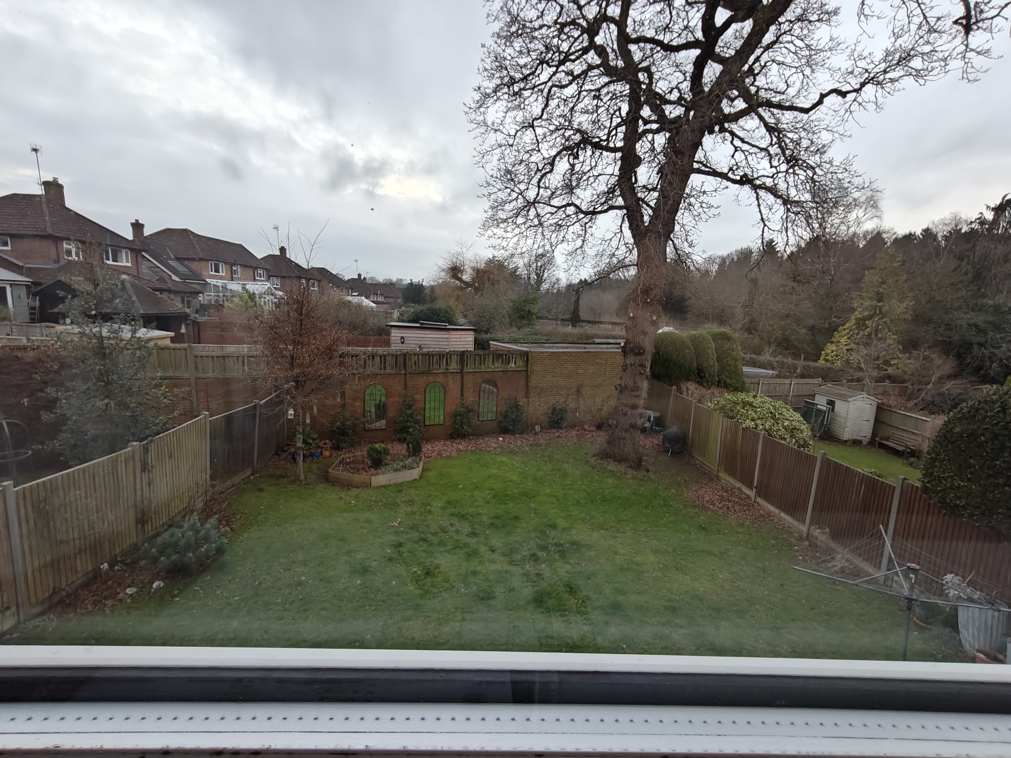 OnePlus 12R camera sample ultra wide garden
