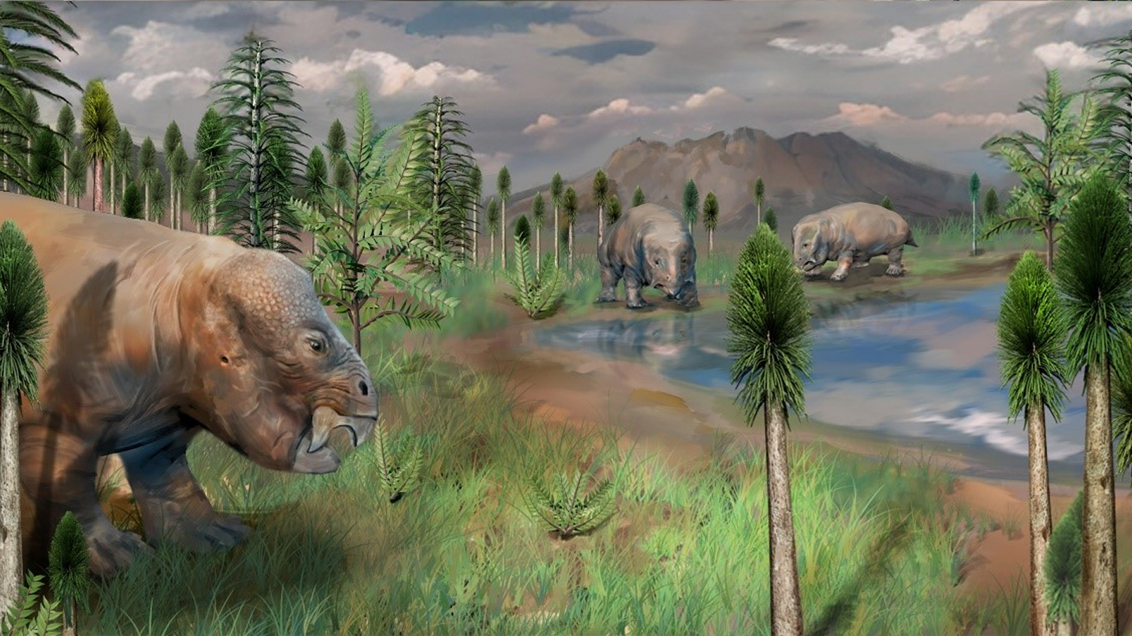 Refuge from the worst mass extinction in Earth’s history discovered fossilized  in China