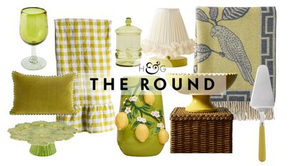 Citron green decor, including a wine stem, velvet pillow, cake stand, tablecloth, vase, bonbonniere, table lamp, pedestal bowl, tart server, and throw blanket, pictured against a white background