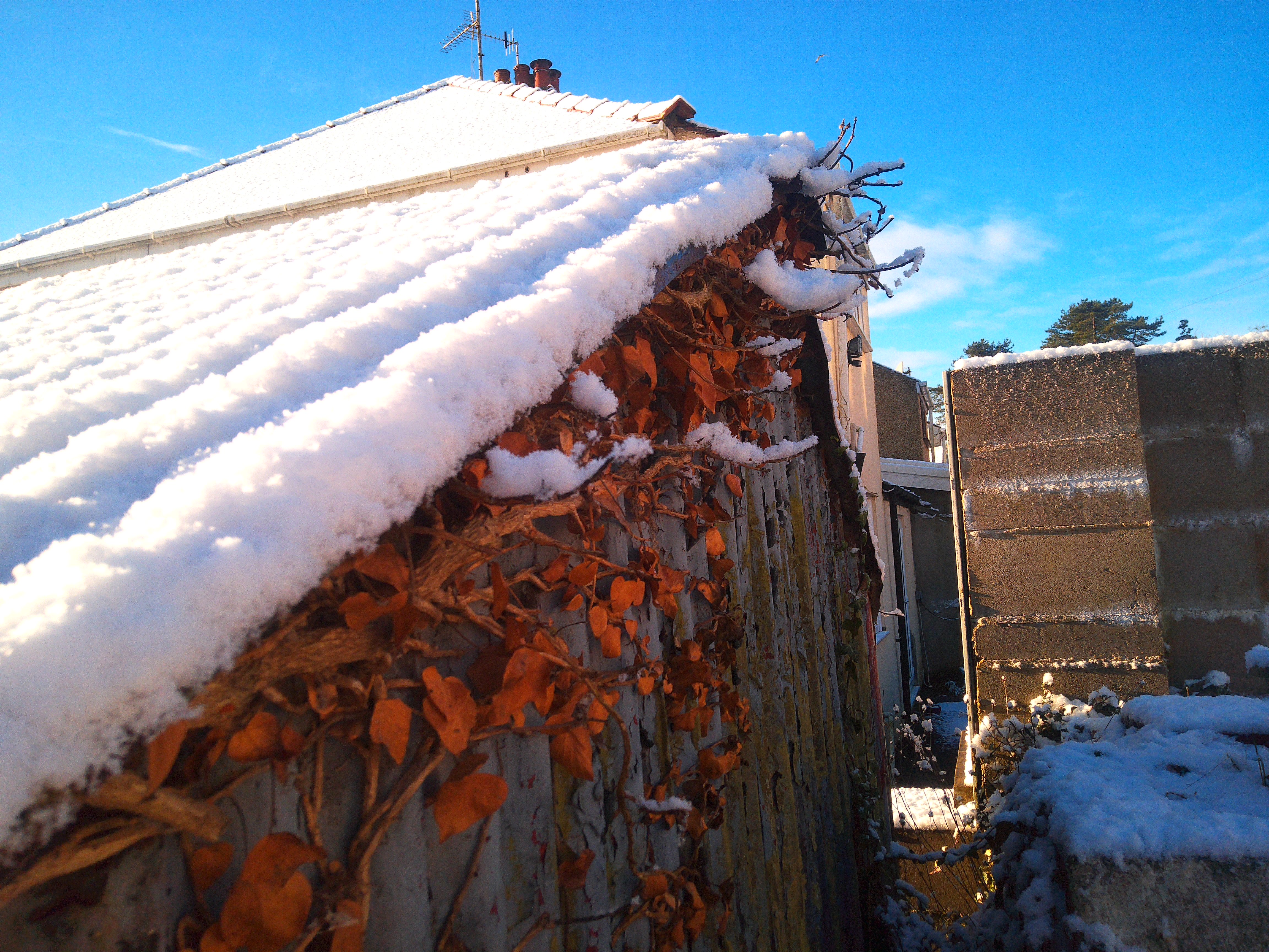 Images taken on the Camp Snap CS-Pro