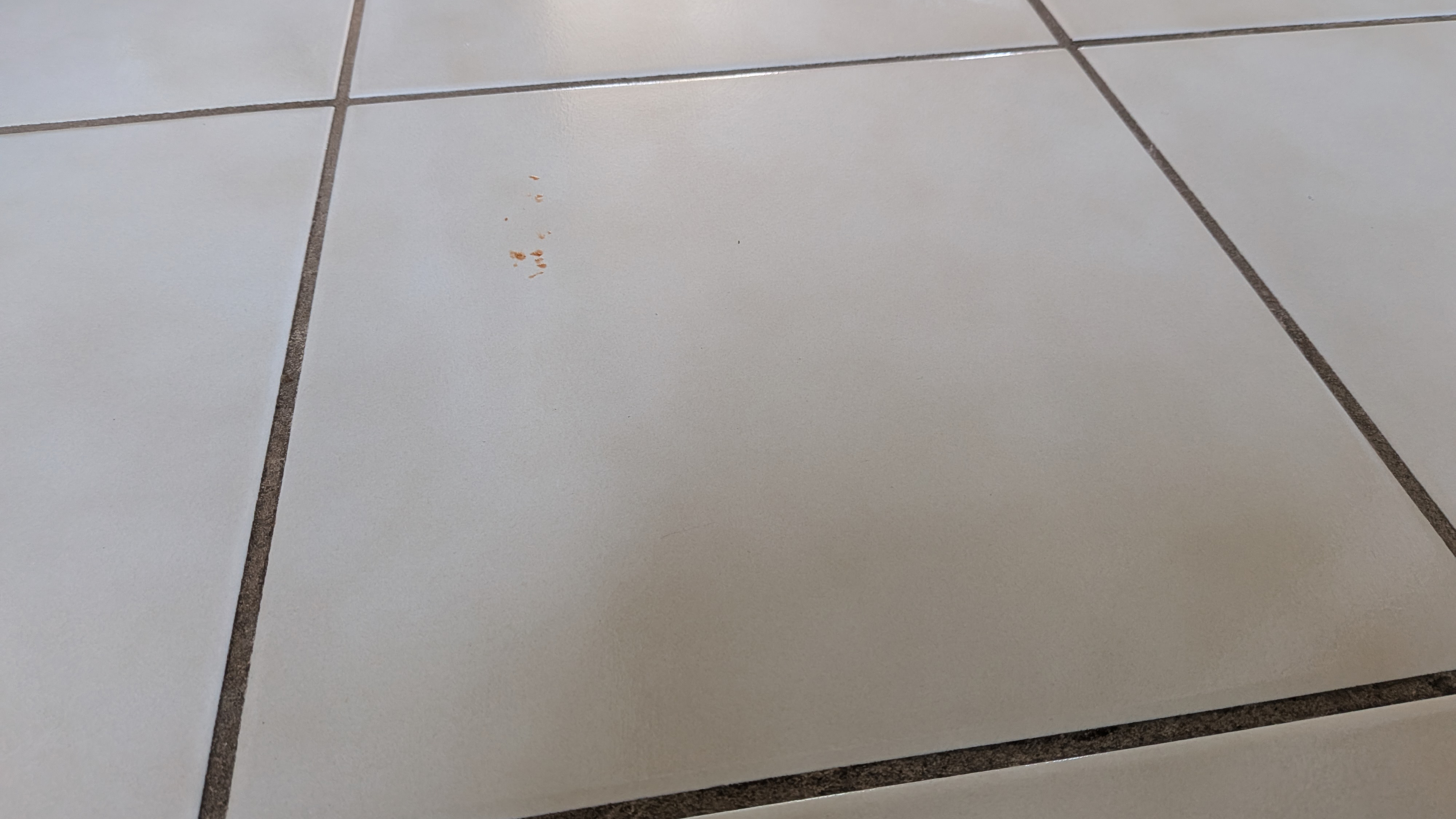 Remnant of ketchup on a tiled floor during the mopping test