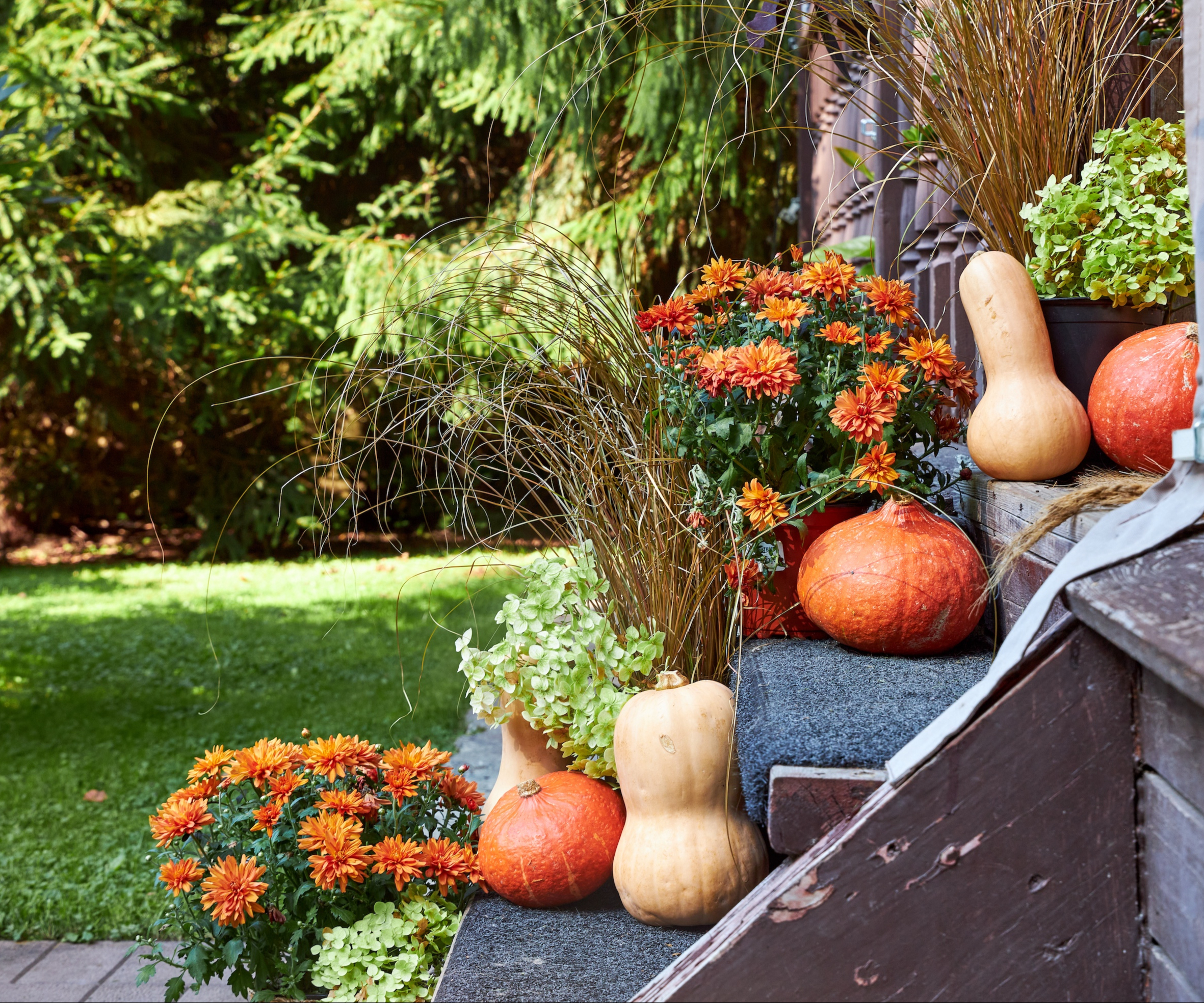 Porch display with orange chrysanthemums, lime green hydrangeas, pumpkins and squash