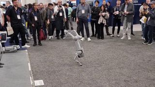 A Unitree Go1 robot dog doing a "handstand" at CES 2025