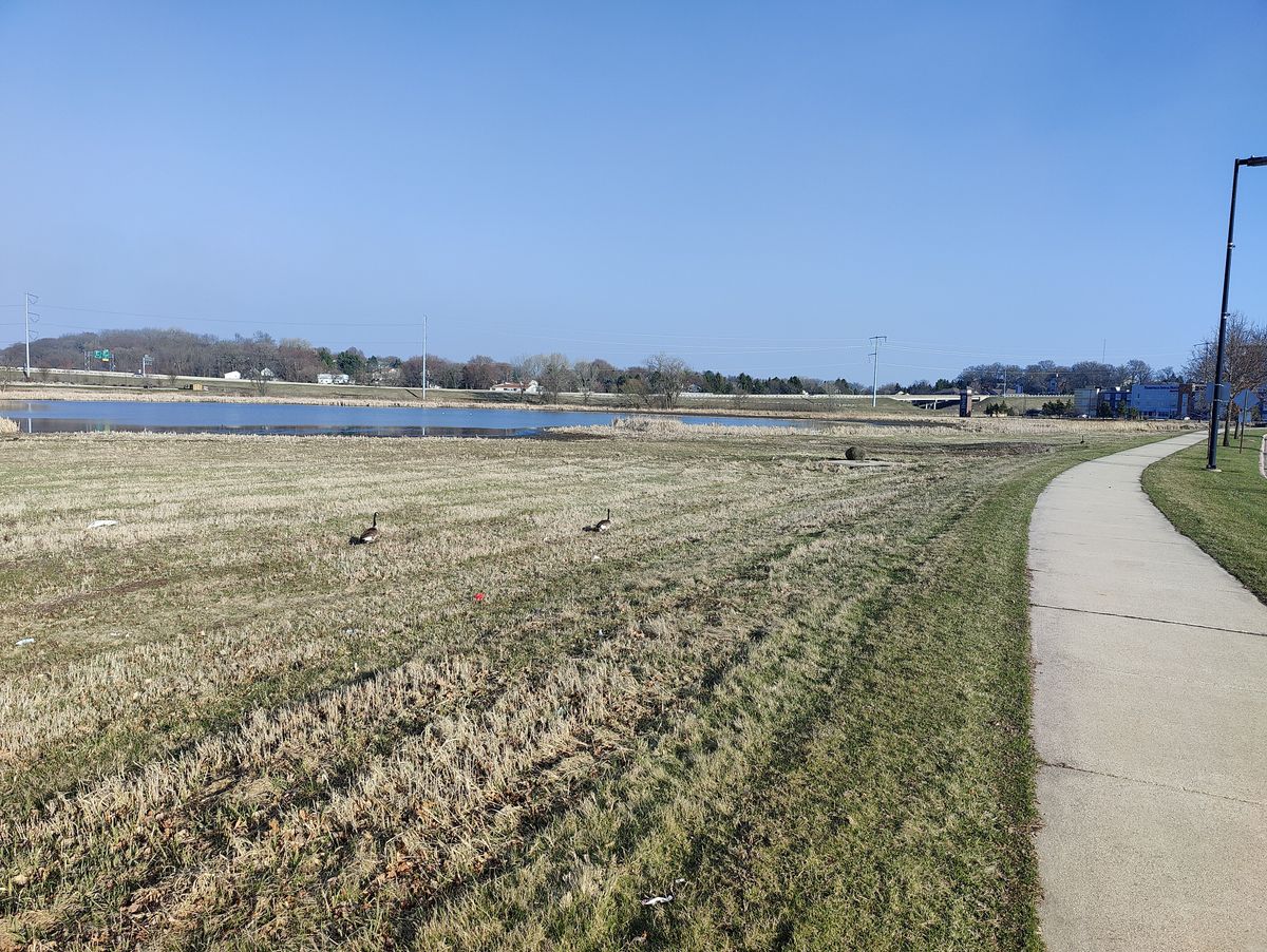 OnePlus 9 Pro camera sample wide-angle