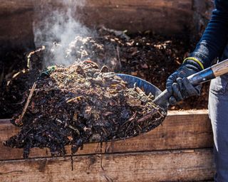 Gardener turns hot composting pile