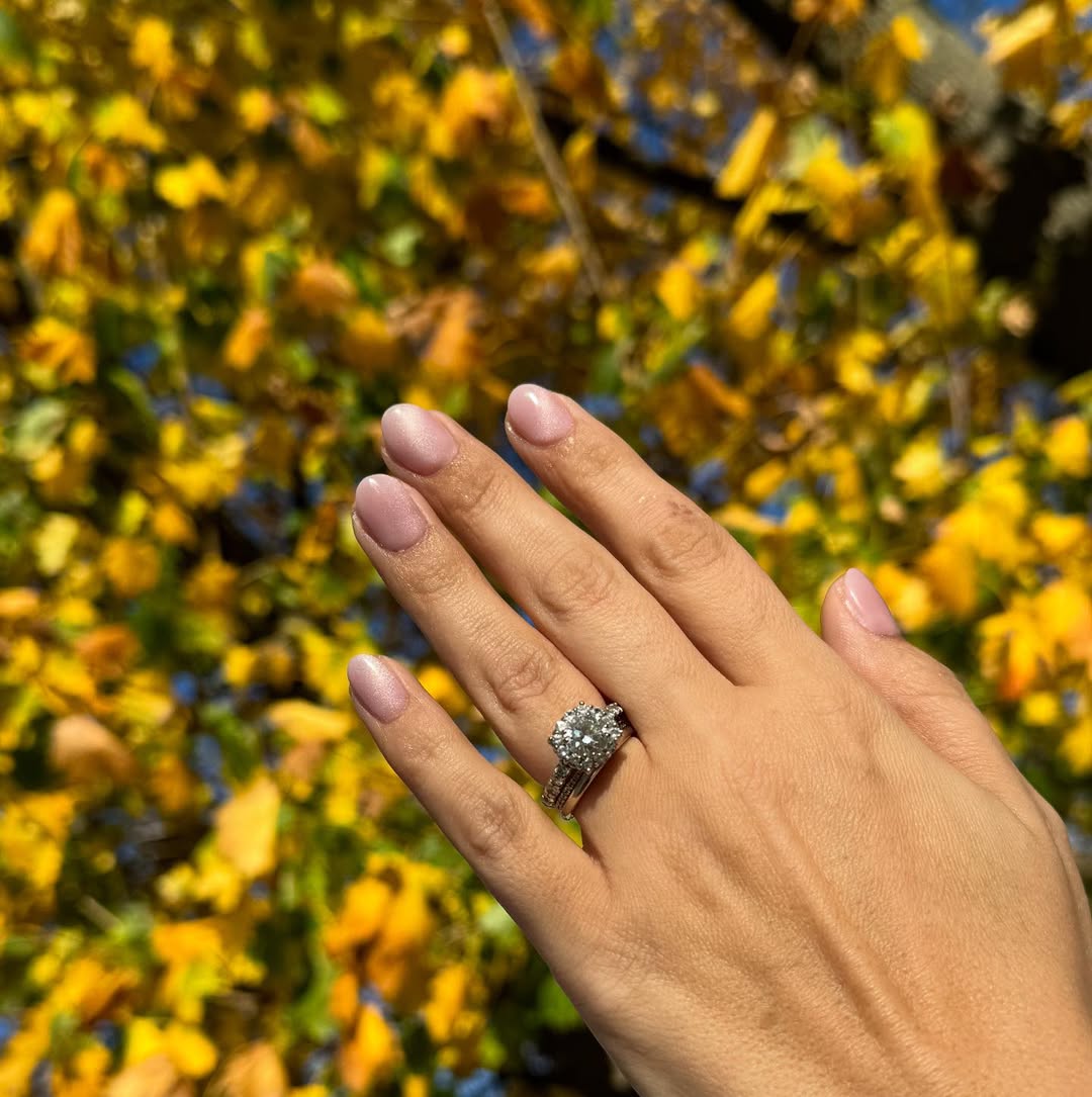 pink velvet cat eye manicure