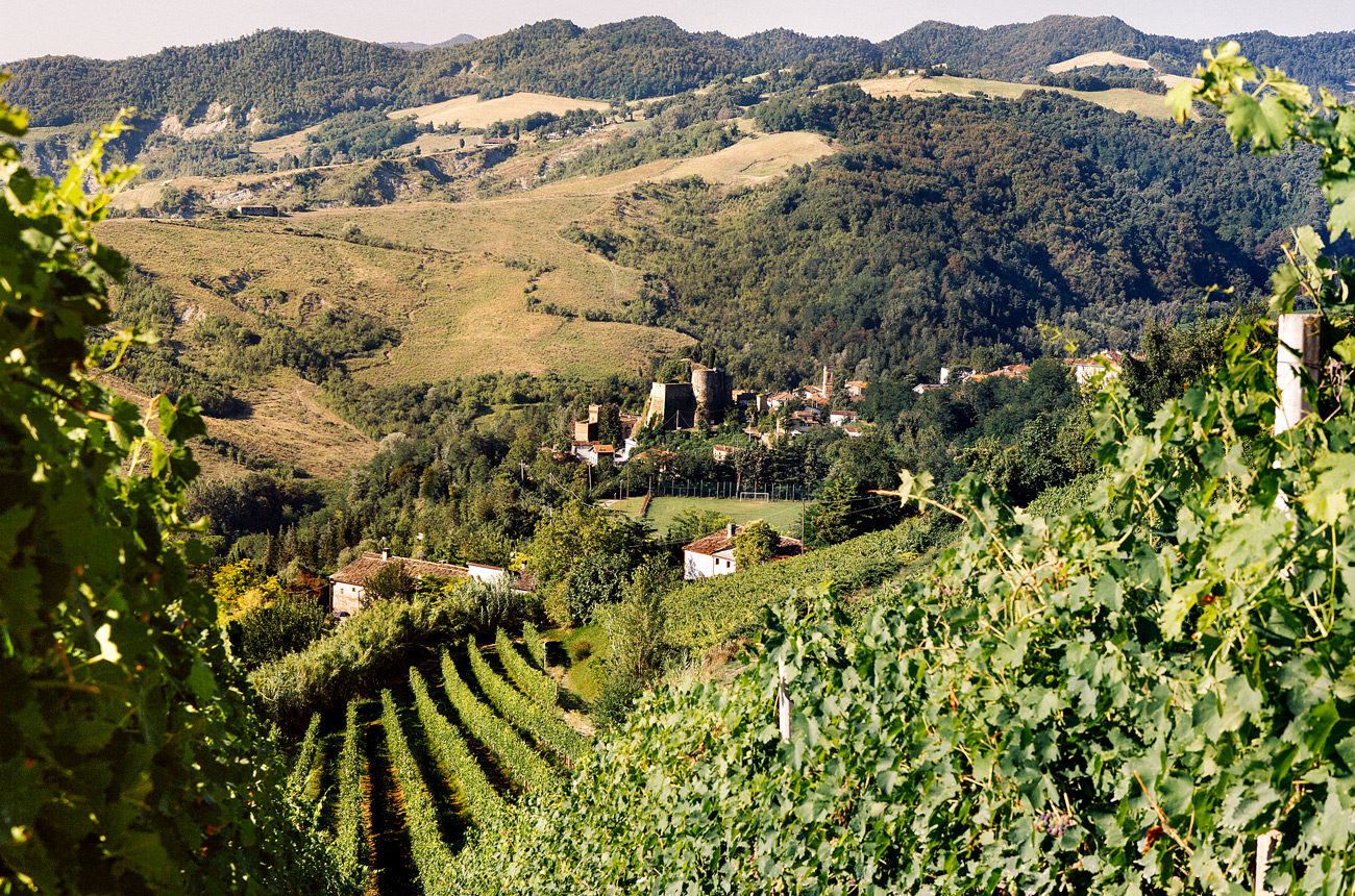 View from Fattoria-Nicolucci
