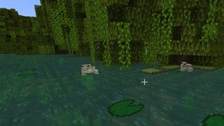 Minecraft frogs spawn place